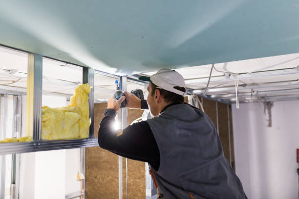 Best Cellulose Insulation in Meade, KS
