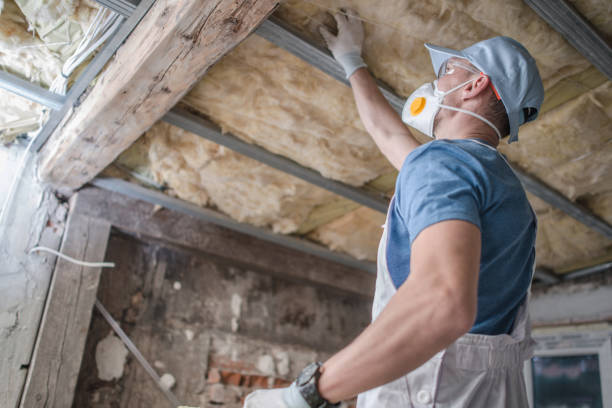 Best Specialized Insulation Services in Meade, KS