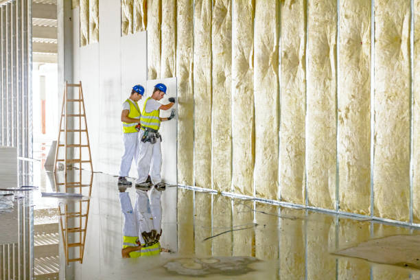 Best Spray Foam Insulation in Meade, KS